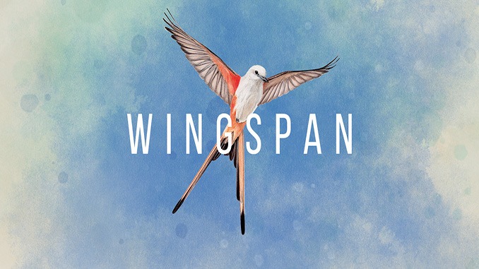 Wingspan